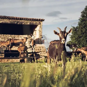 Le Domaine Du Castellas France
